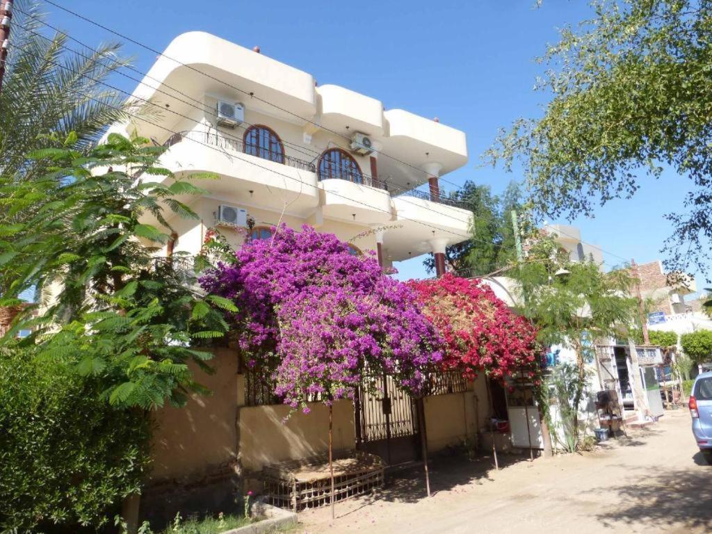 Ferienwohnung Nile View Panoramique And Garden West Bank Luxor Exterior foto